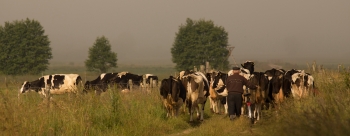 Fot. Paweł Sidło